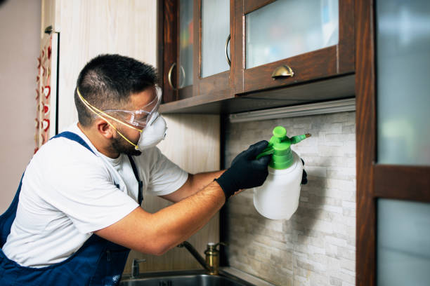 Best Wasp Removal Services  in Matta, WA
