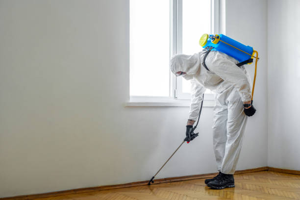 Best Pest Control Treatment  in Matta, WA