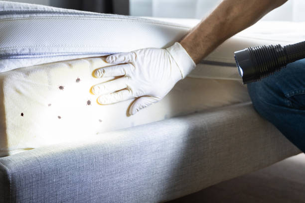 Best Cockroach Control Services  in Matta, WA