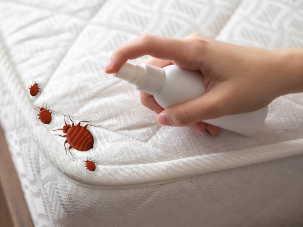 Best Best Pest Control Companies  in Matta, WA
