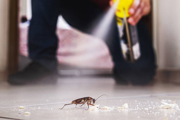 Best Pest Prevention Services  in Matta, WA