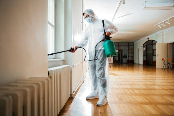 Best Termite Control Services  in Matta, WA